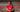 NOTTINGHAM FOREST