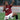 batistuta celebrating goal