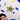 Detail shot of the embroidered ‘D’ star, a reference to Maradona, with gold swirls and blue-and-yellow Boca colors.