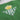 Betis crest detail on the Real Betis 1960's Retro Football Jacket