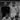 Historic black-and-white team photo of BSC Young Boys players
