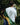 WORLD CUP LEGENDS COLLECTION