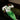 Borussia Mönchengladbach 1995 Pant