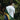 T-Shirt Bordada Brazil Legends